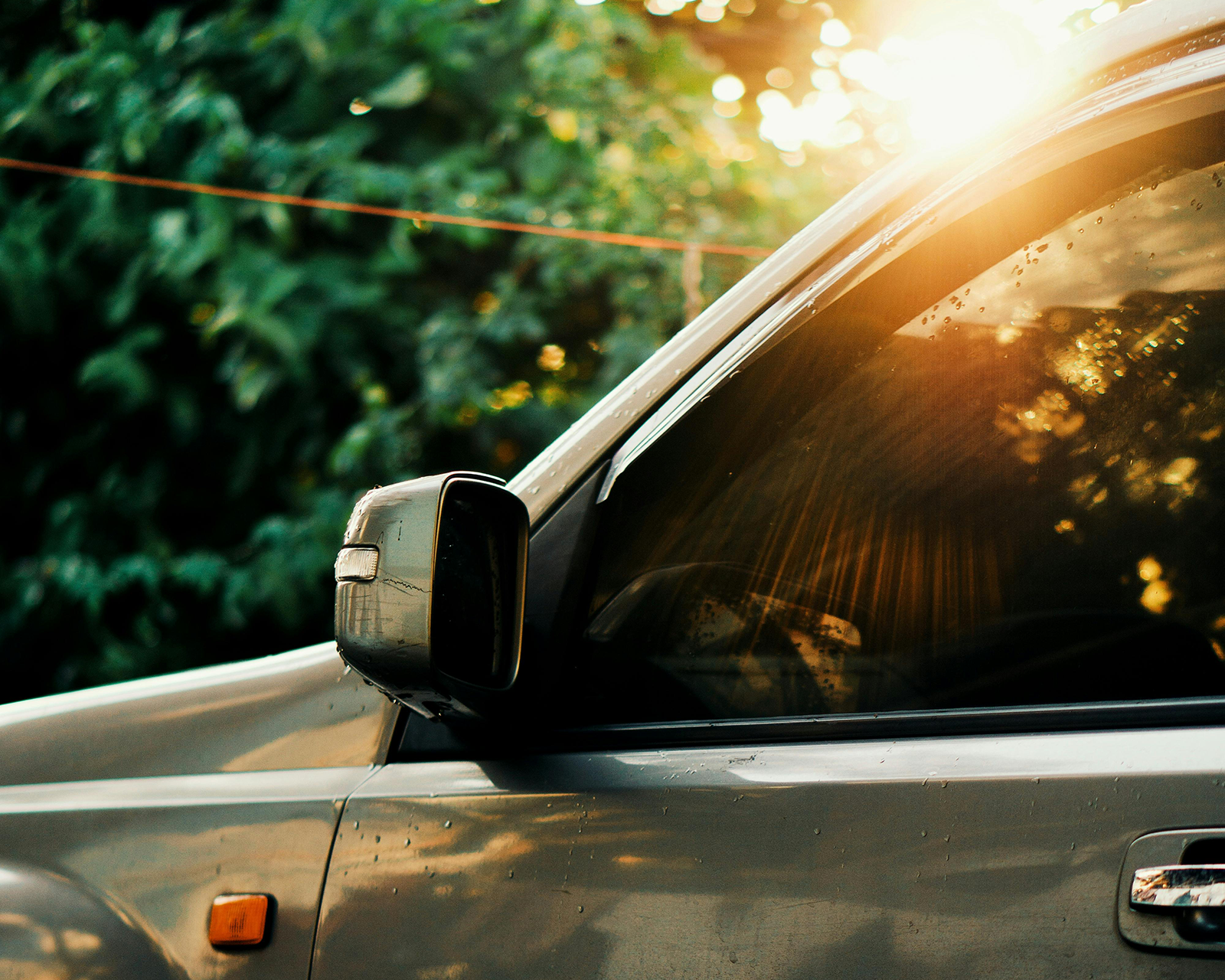 Auto glass of a car door in a forest.